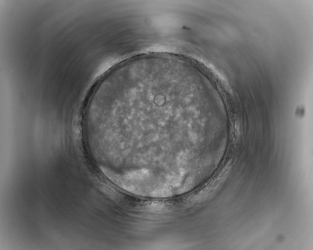 X0000101971266200808151329