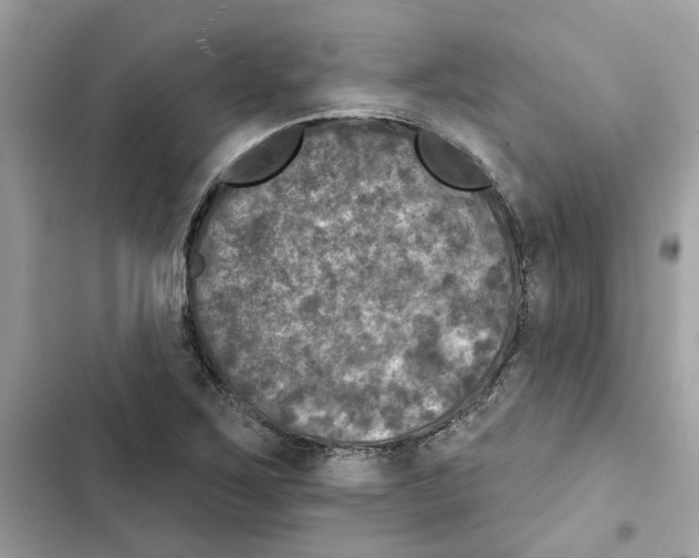 X0000101971267200808151329