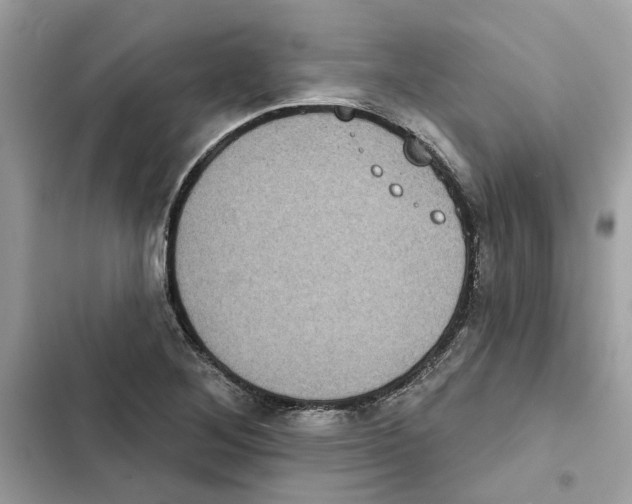 X0000101971268200808151329