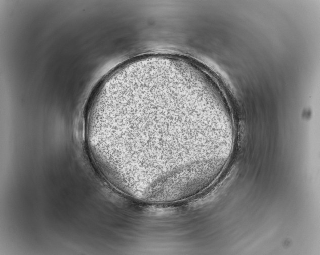 X0000101971269200808151329