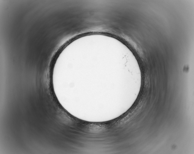 X0000101971270200808151329