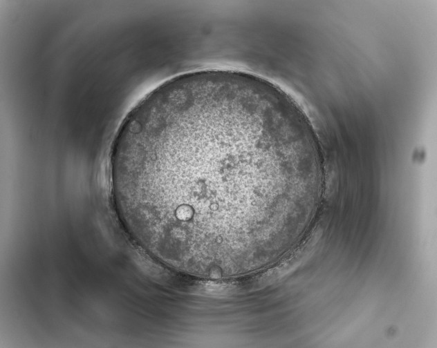 X0000101971271200808151329