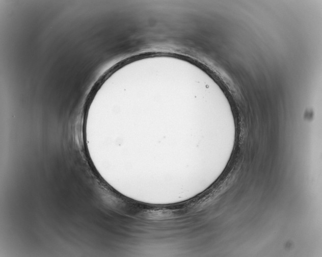 X0000101971272200808151329