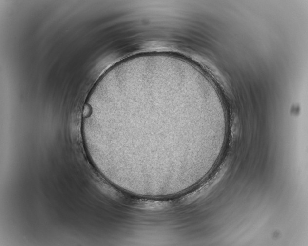 X0000101971273200808151329