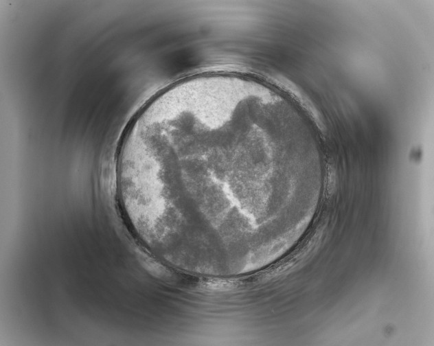 X0000101971274200808151329
