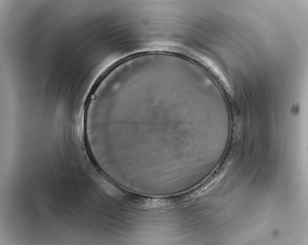 X0000101971275200808151329