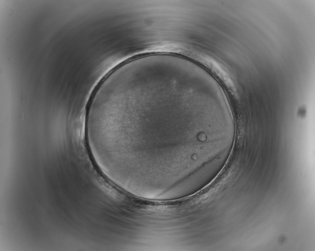 X0000101971276200808151329