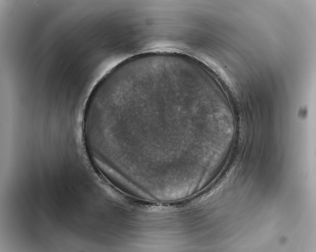 X0000101971277200808151329