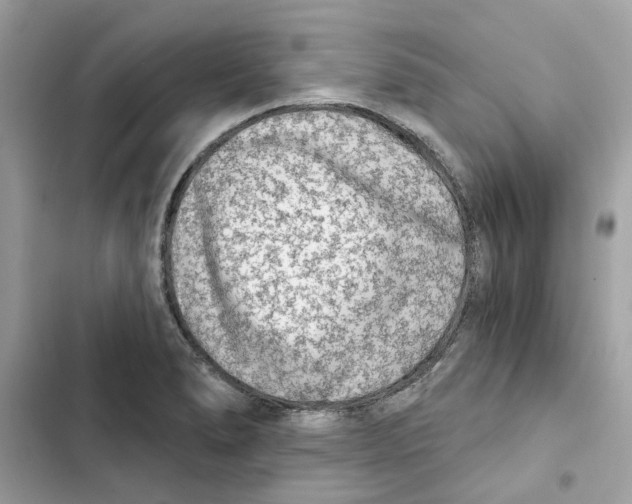 X0000101971278200808151329