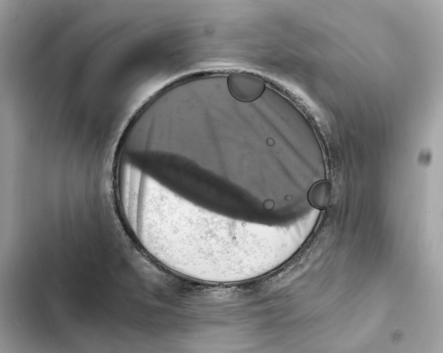 X0000101971279200808151329