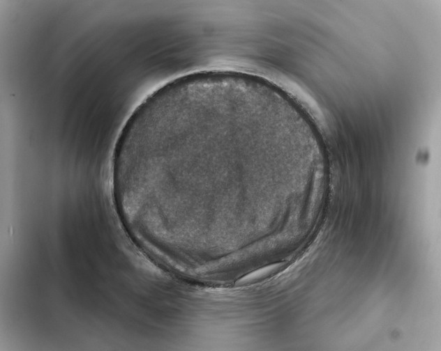 X0000101971280200808151329