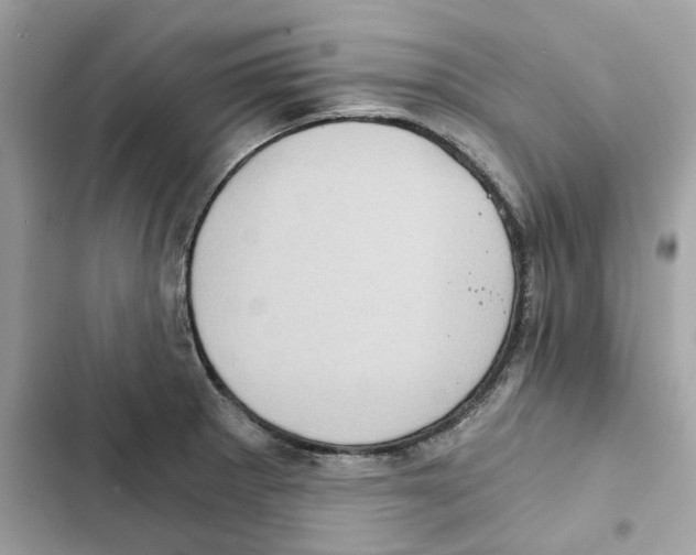 X0000101971281200808151329
