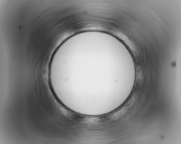 X0000101971282200808151329