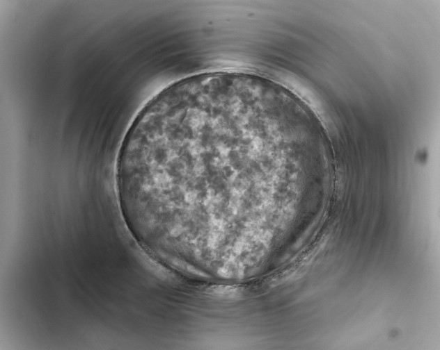 X0000101971283200808151329