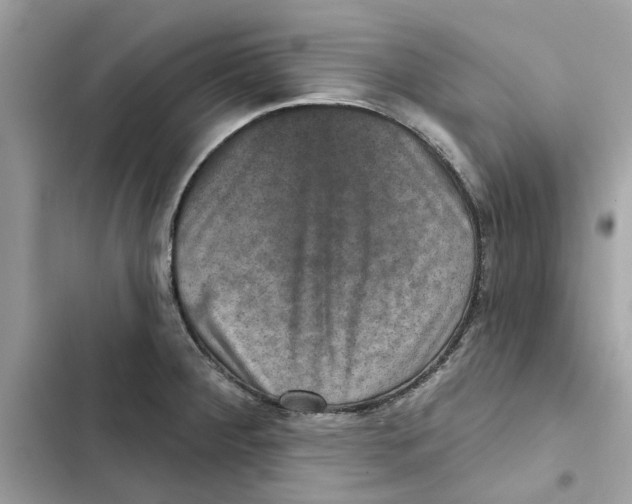 X0000101971284200808151329