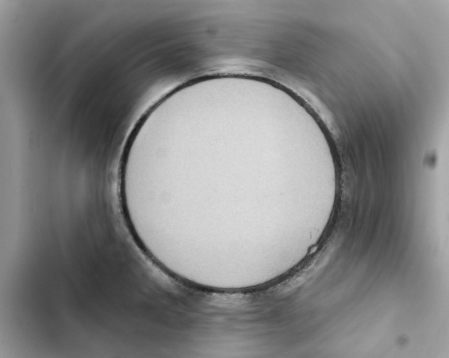 X0000101971285200808151329