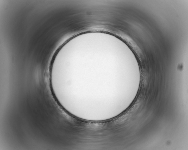 X0000101971286200808151329