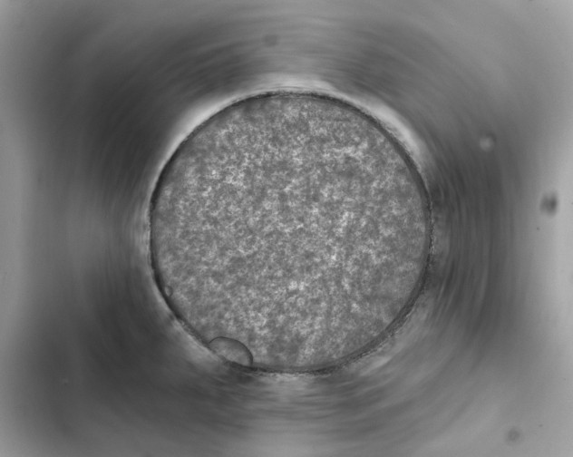 X0000101971287200808151329