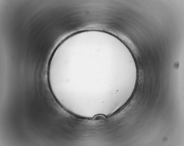 X0000101971288200808151329