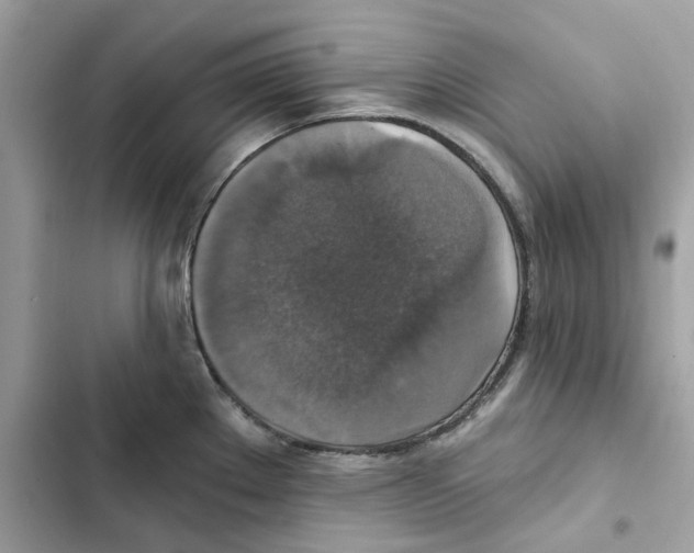 X0000101971289200808151329