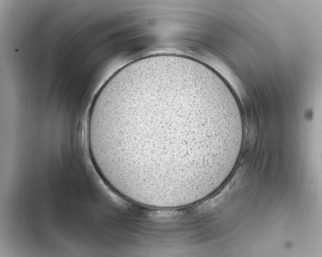 X0000101971290200808151329