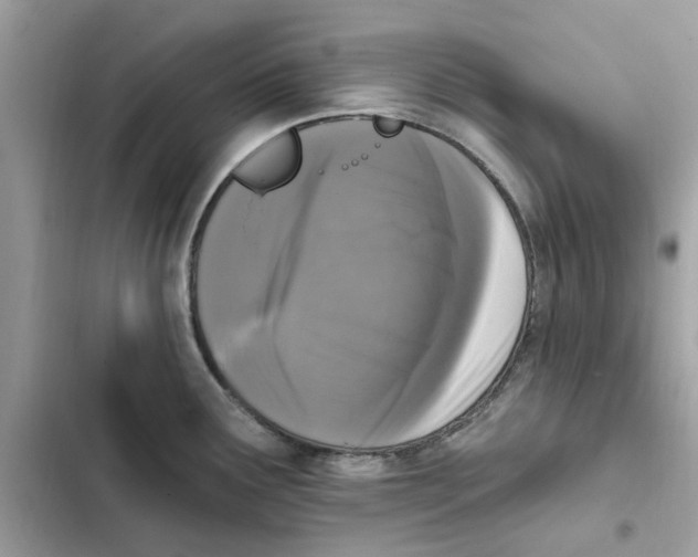 X0000101971291200808151329