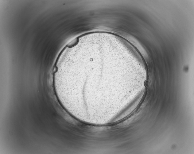 X0000101971292200808151329