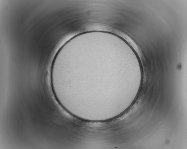X0000101971293200808151329