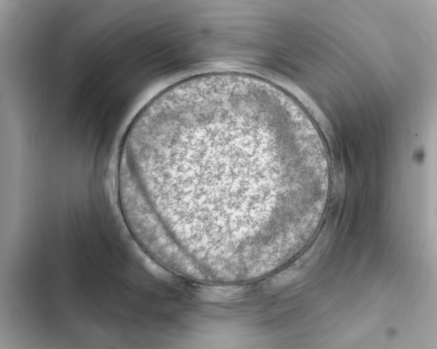 X0000101971294200808151329