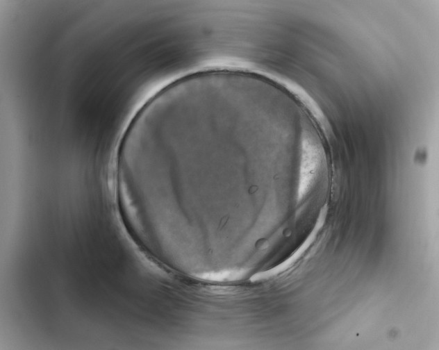 X0000101971295200808151329