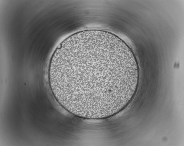 X0000101971296200808151329