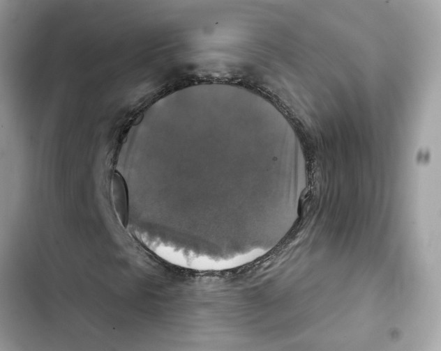 X0000101971297200808151328