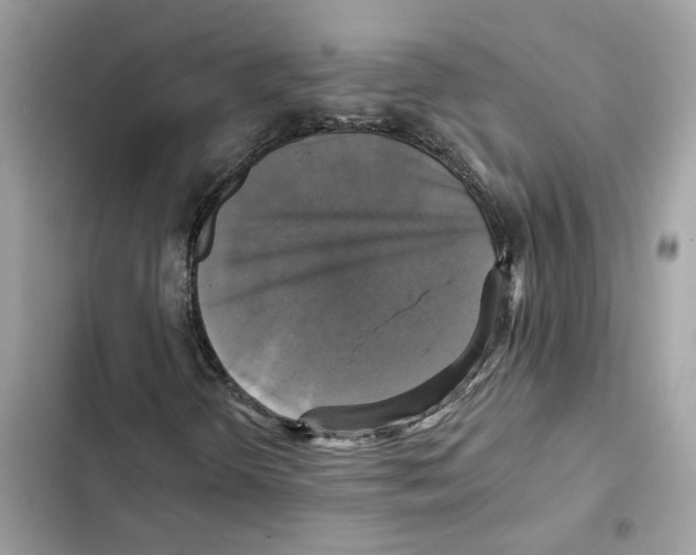 X0000101971298200808151328