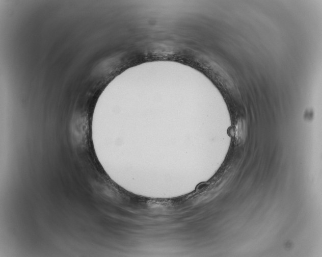 X0000101971299200808151328
