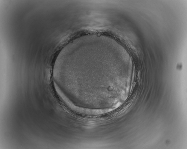 X0000101971300200808151328