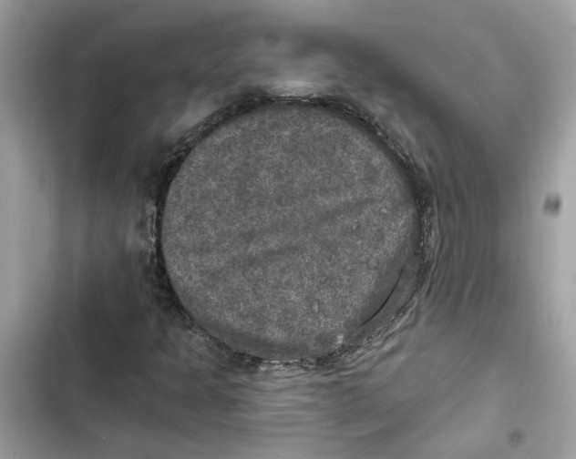 X0000101971301200808151328