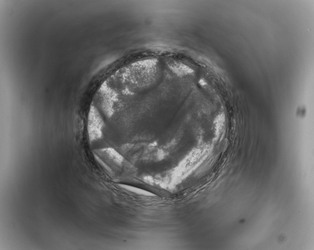 X0000101971302200808151328