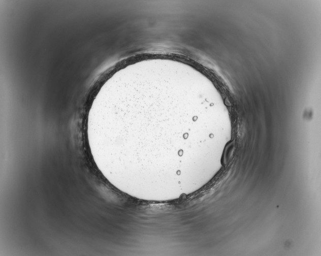 X0000101971304200808151328