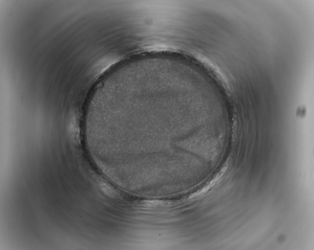 X0000101971305200808151328
