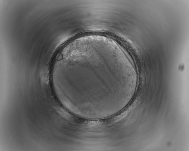 X0000101971306200808151328