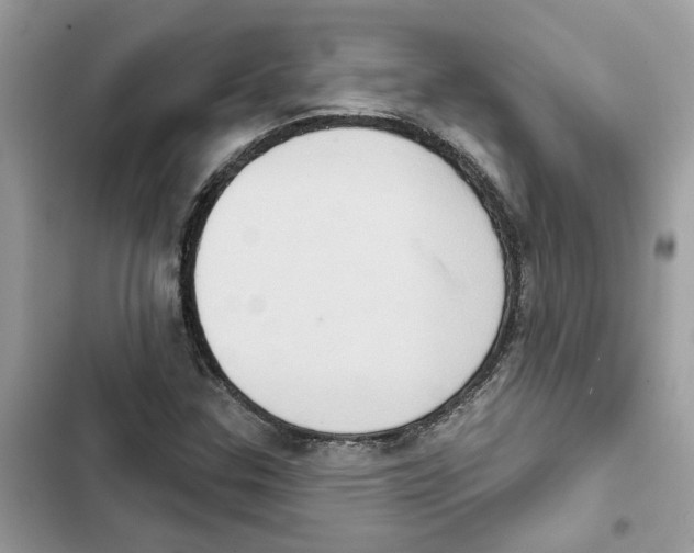 X0000101971307200808151328