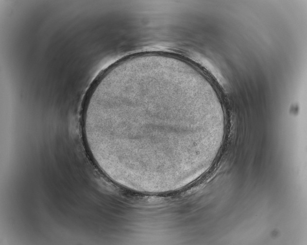 X0000101971308200808151328