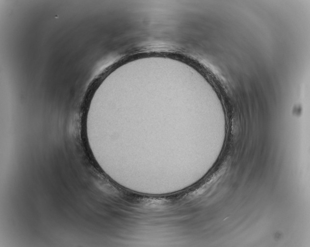 X0000101971309200808151328