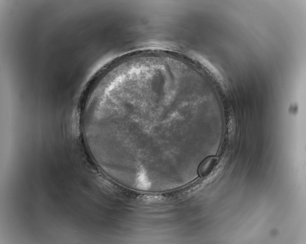 X0000101971310200808151328
