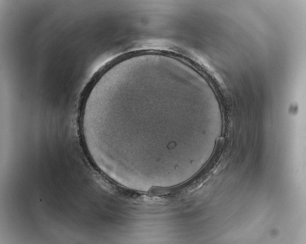 X0000101971312200808151329