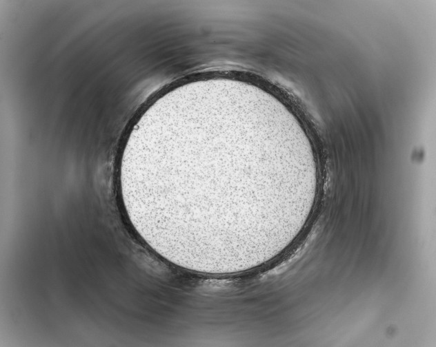 X0000101971313200808151329