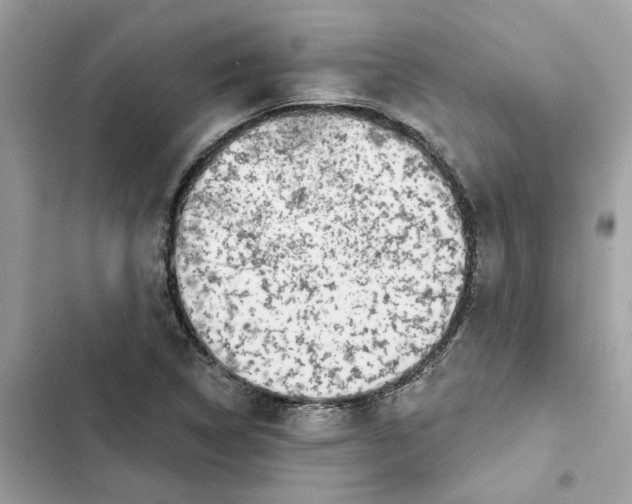 X0000101971314200808151329
