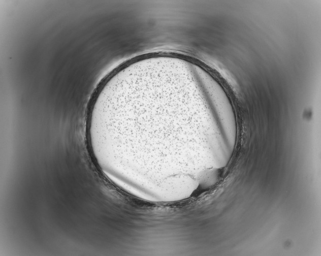 X0000101971316200808151329