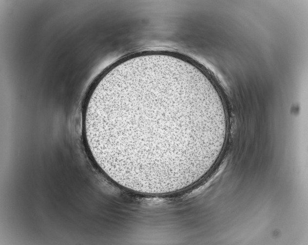 X0000101971317200808151329