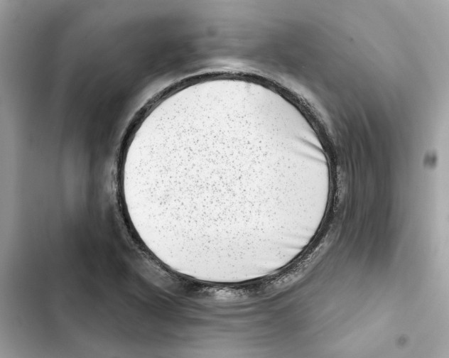 X0000101971318200808151329